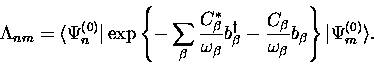 \begin{displaymath}
\Lambda_{nm}= \langle \Psi_n^{(0)} \vert
\exp \left \{ - \su...
 ...omega_{\beta}} b_{\beta}
 \right \} \vert \Psi_m^{(0)} \rangle.\end{displaymath}